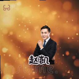 赵凯